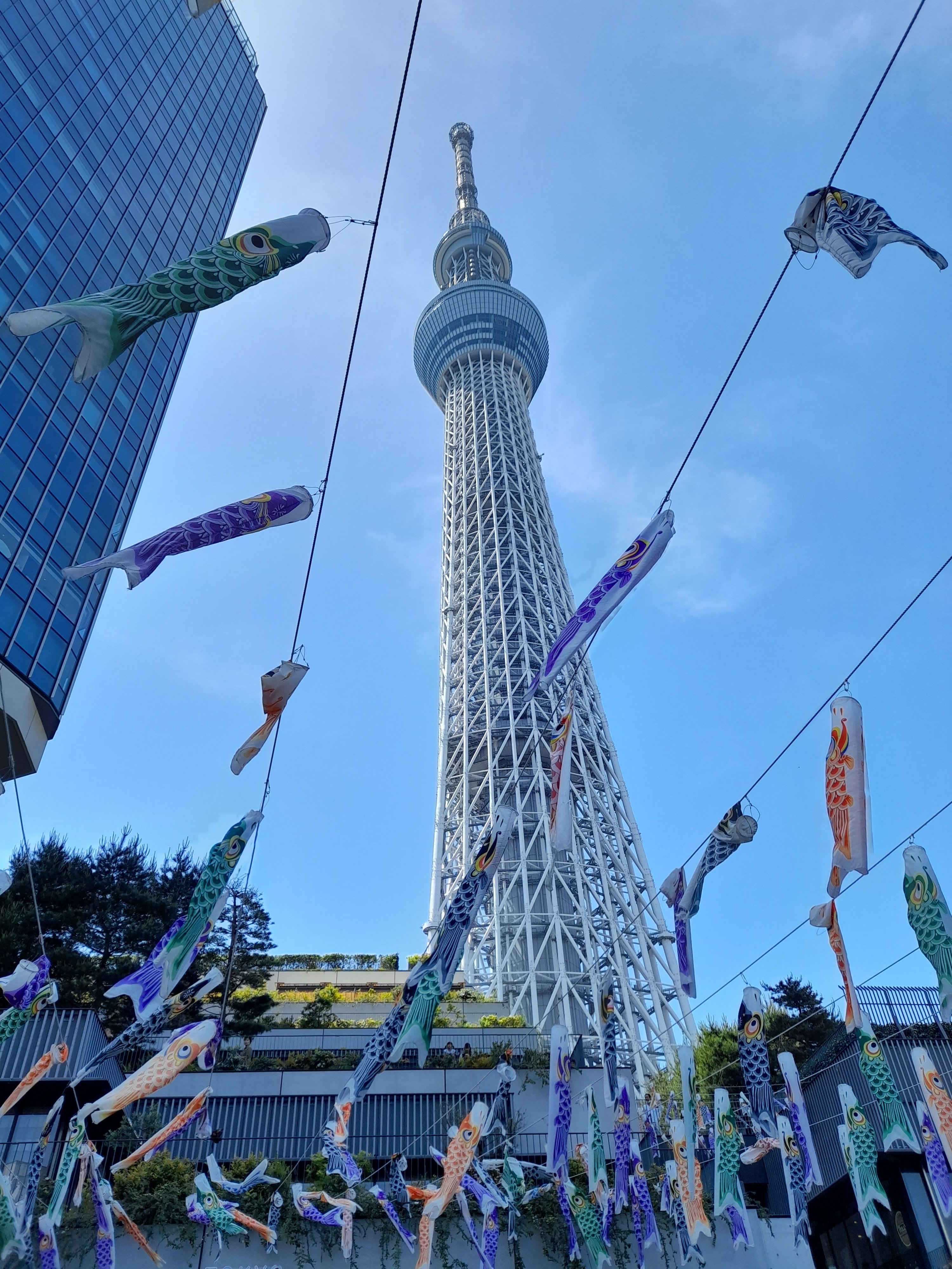 Walk In Tokyo A walk in Tokyo and going up in the world – Uncle Bob's Scenic Tours